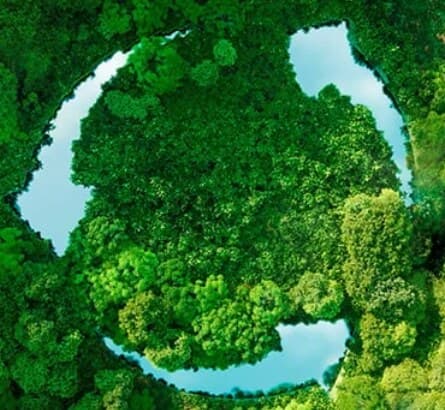 Clean air concept — fresh air as a natural circulation